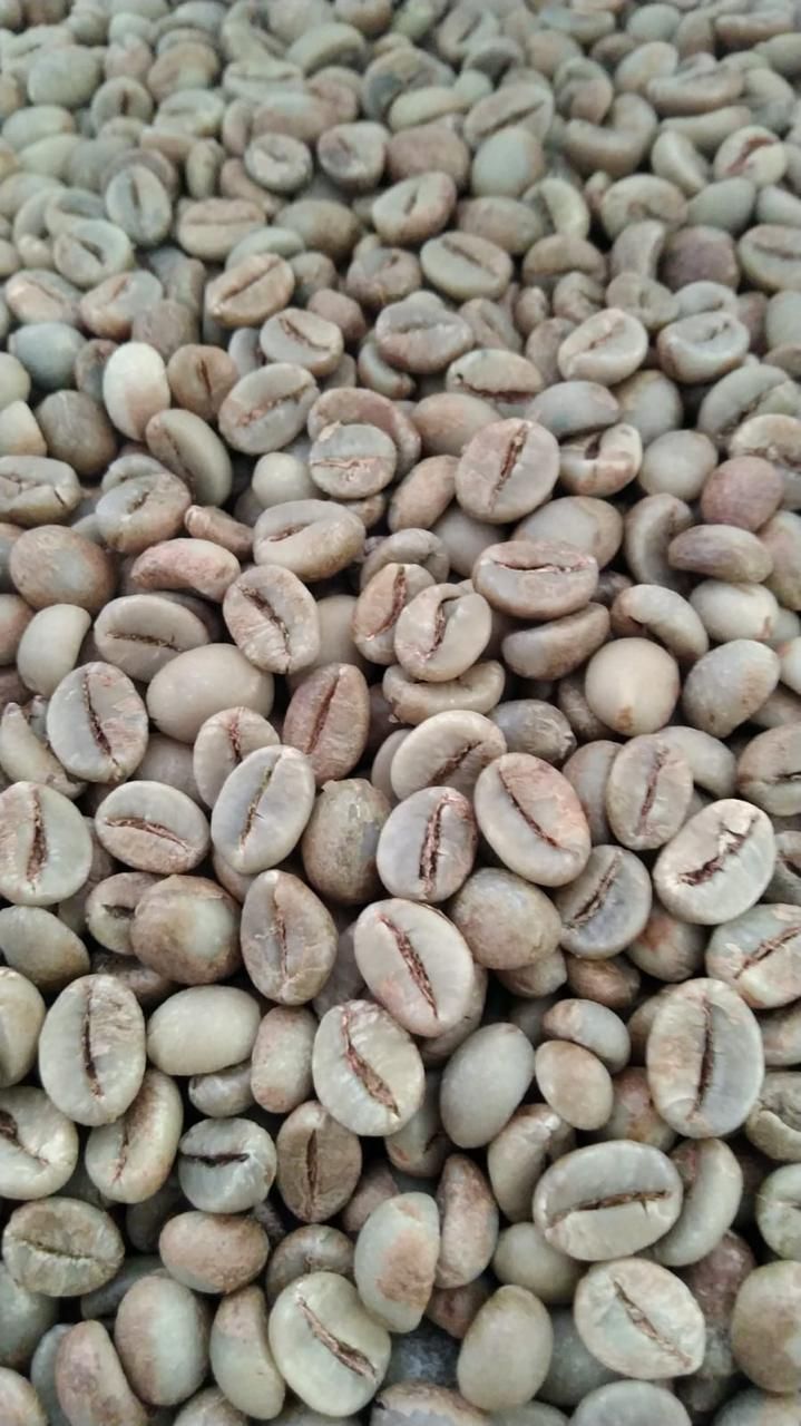 Green Coffee Beans Grade 4 - Authentic Indonesian Quality