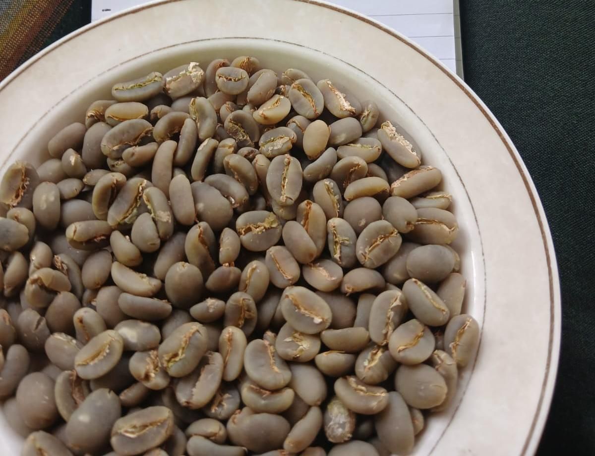 Green Coffee Beans Grade 4 - Authentic Indonesian Quality